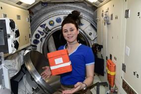 Биопринтер «Орган.Авт» на МКС